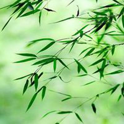 剑歌手游下载